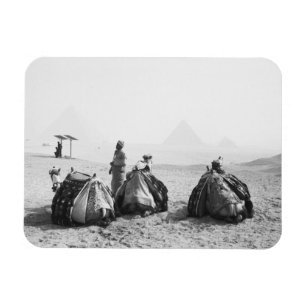 Caïro Egypte, Kameel Jockeys Giza Piramides (NR) Magneet