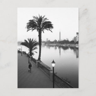 Caïro Egypte, Langs de Nijl Briefkaart