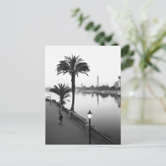 Caïro Egypte, langs de Nijlrivier Briefkaart (Staand voorkant)