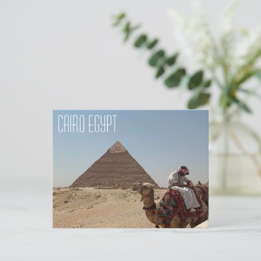 Caïro Egyptische kameel voor het Briefkaart van de (Staand voorkant)