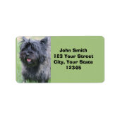 Caïro Etiket (Voorkant)