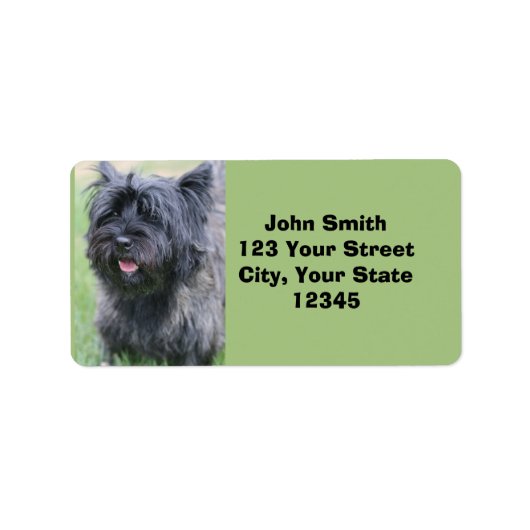 Caïro Etiket (Voorkant)