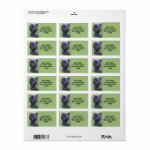 Caïro Etiket (Full Sheet)