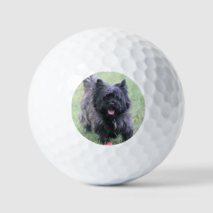 Caïro Golfballen