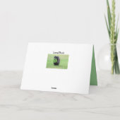 Caïro Kaart (Achterkant)