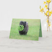 Caïro Kaart (Gele Bloem)