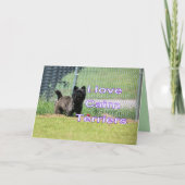 Caïro Kaart (Voorkant)