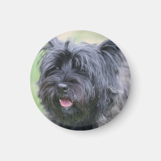 Caïro Magneet (Voorkant)