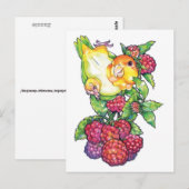 Caïro met frambozen briefkaart (Voorkant / Achterkant)