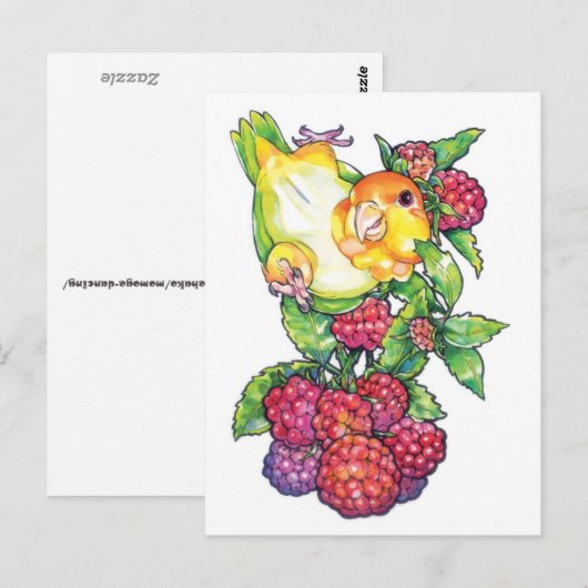 Caïro met frambozen briefkaart (Voorkant / Achterkant)