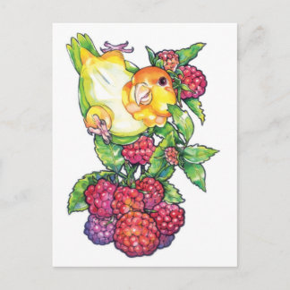 Caïro met frambozen briefkaart