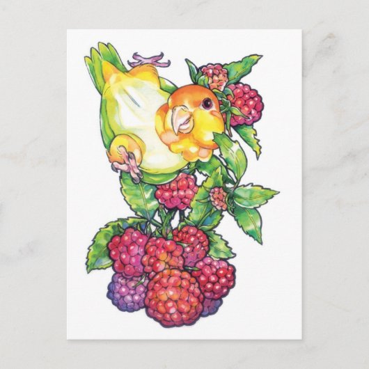 Caïro met frambozen briefkaart (Voorkant)