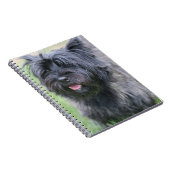 Caïro Notitieboek (Rechterzijde)