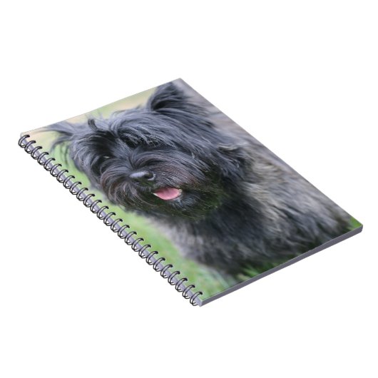 Caïro Notitieboek (Rechterzijde)