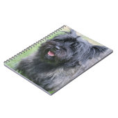 Caïro Notitieboek (Linkerzijde)