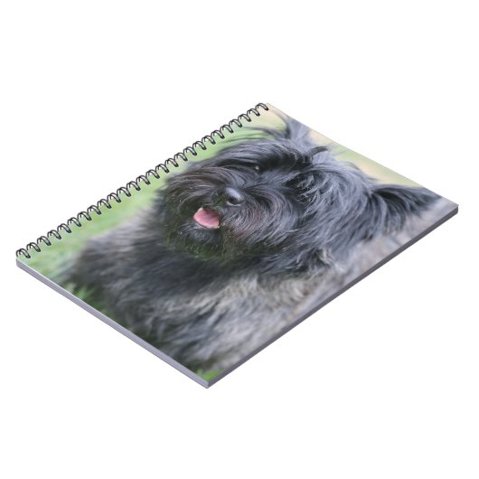 Caïro Notitieboek (Linkerzijde)