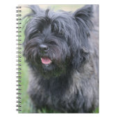 Caïro Notitieboek (Voorkant)