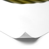 Caïro Parrot Love, Caique Parrot Love, Caïque ... Poster (Hoek)