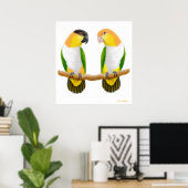 Caïro Parrot Love, Caique Parrot Love, Caïque ... Poster (Thuiskantoor)