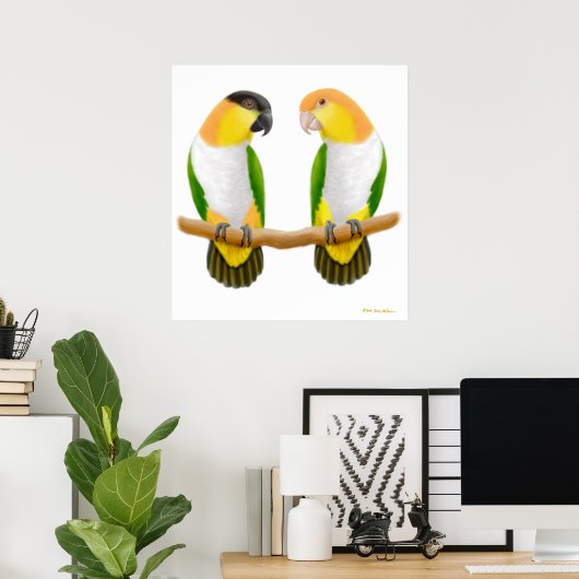 Caïro Parrot Love, Caique Parrot Love, Caïque ... Poster (Thuiskantoor)