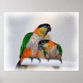Caïro Parrot Pair Waterverf Foto schilderen Poster