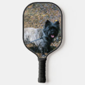 Caïro Pickleball Paddle (Achterkant)
