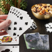 Caïro Pokerkaarten (Insitu)