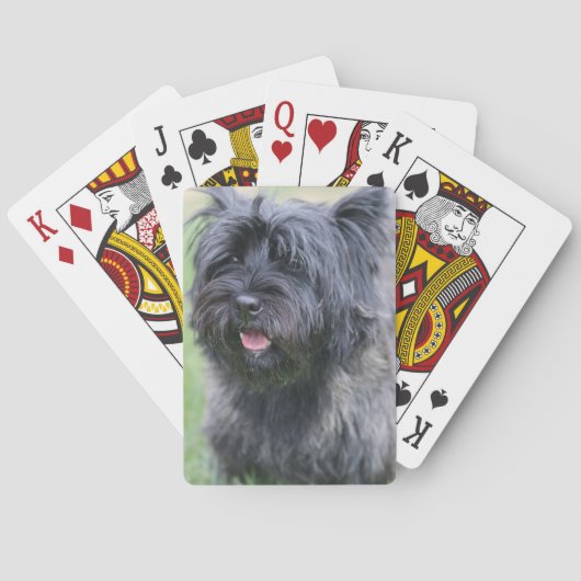 Caïro Pokerkaarten (Achterkant)