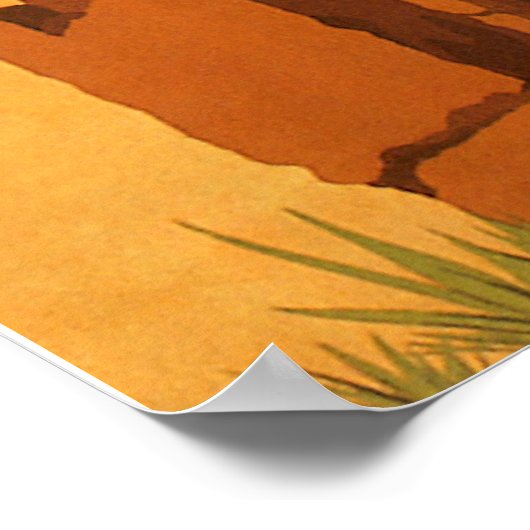 Caïro Poster (Hoek)