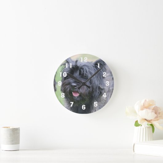 Caïro Ronde Klok (Huis)