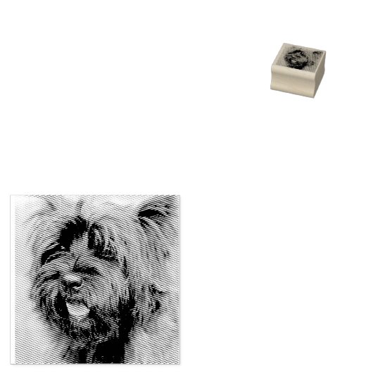 Caïro Rubberstempel (Gestempeld)