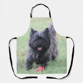 Caïro Schort (Voorkant)