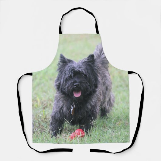 Caïro Schort (Voorkant)