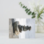 Caïro Stone van de Maine Coast Briefkaart (Staand voorkant)