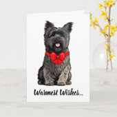 Caïro Terrier die een kerstkaart heeft Kaart (Gele Bloem)