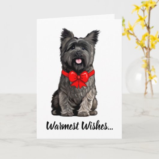 Caïro Terrier die een kerstkaart heeft Kaart (Gele Bloem)