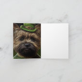Caïro Terrier dog in St. Patrick's Day Dress Kaart (Binnen)