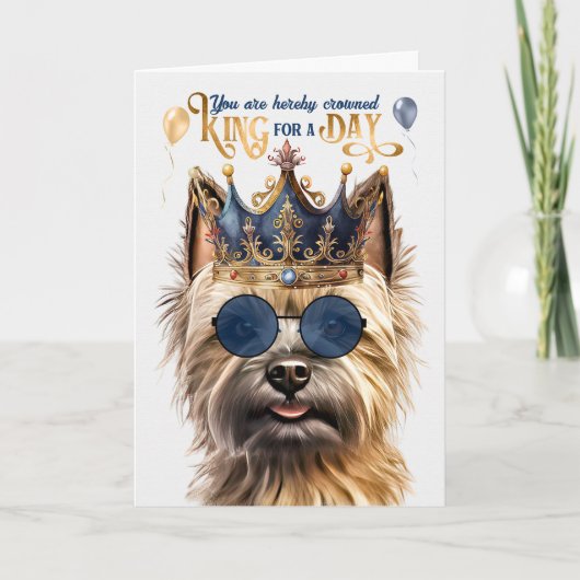 Caïro Terrier Dog King voor een dag grappige verja Kaart (Voorkant)