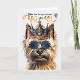 Caïro Terrier Dog King voor een dag grappige verja Kaart