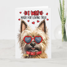Caïro Terrier Dog maakte van liefde voor je Valent