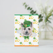 Caïro Terrier Dog Shamrock St. Patricks Day Feestdagenkaart (Staand voorkant)