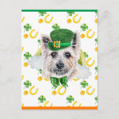 Caïro Terrier Dog Shamrock St. Patricks Day Feestdagenkaart (Voorkant)