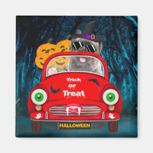 Caïro Terrier Driving Car Scary Halloween Magneet