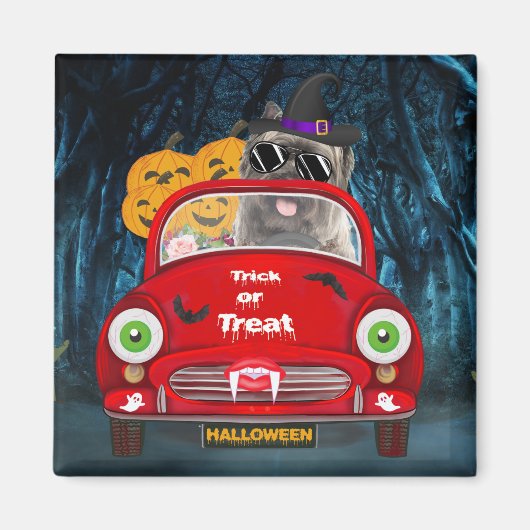 Caïro Terrier Driving Car Scary Halloween Magneet (Voorkant)