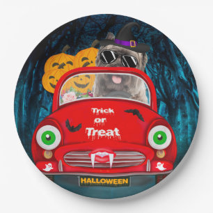 Caïro Terrier Driving Car Scary Halloween Papieren Bordje