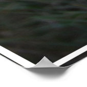 Caïro Terrier Face Poster (Hoek)