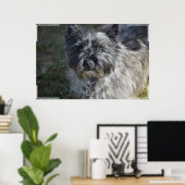 Caïro Terrier Face Poster (Thuiskantoor)