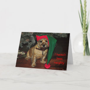 Caïro Terrier Holiday Card Feestdagen Kaart