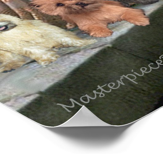 Caïro Terriers (Drie) - de colade Poster (Hoek)