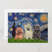 Caïro Terriers (drie) - Sterrennacht Briefkaart (Voorkant / Achterkant)